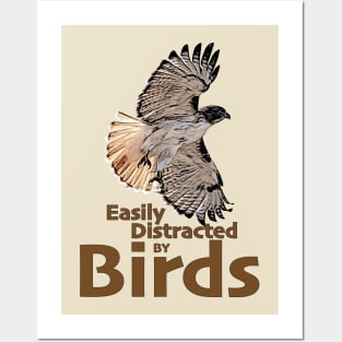 Easily distracted by birds - Hawk Posters and Art